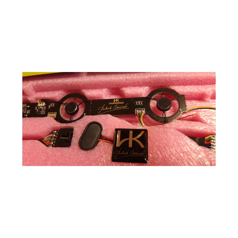 MICRO HARMONIK AC5001 RG