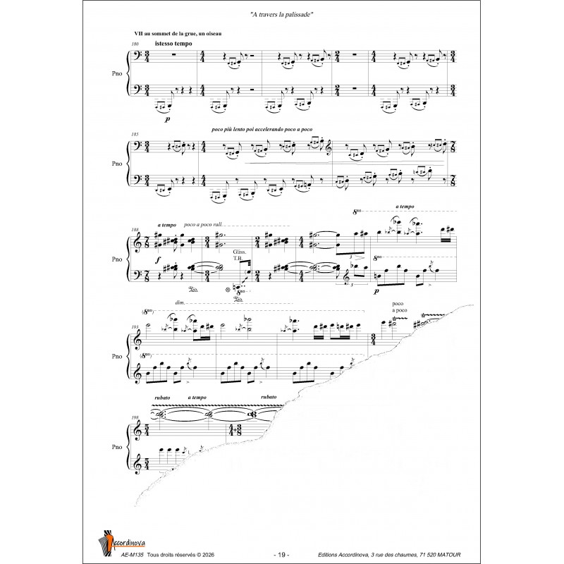 A travers la palissade