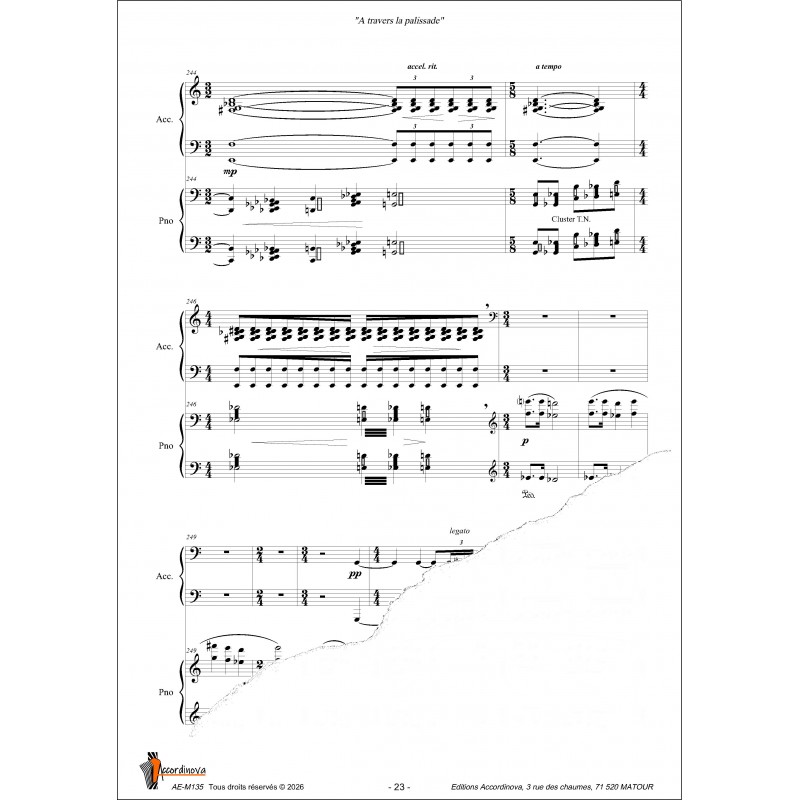 A travers la palissade