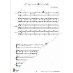 Le petit vieux et l'étoile filante