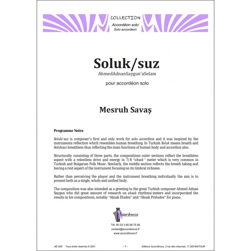 Suluk-suz