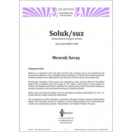 Suluk-suz