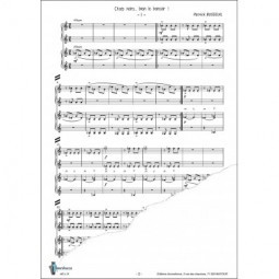 Chats, chats, chats - chats noirs, bien le bonsoir