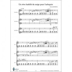 Un rêve habillé de neige pour l'arlequin