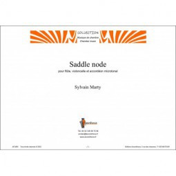 Saddle node