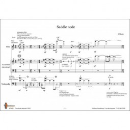 Saddle node
