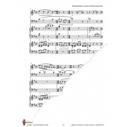 Raminagrobis se tenant coi devant	 les lavoirs