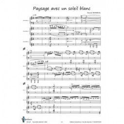 Paysage avec un soleil blanc