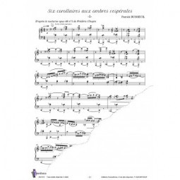 Six corollaires aux ombres vespérales