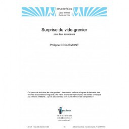 Surprise du vide-grenier