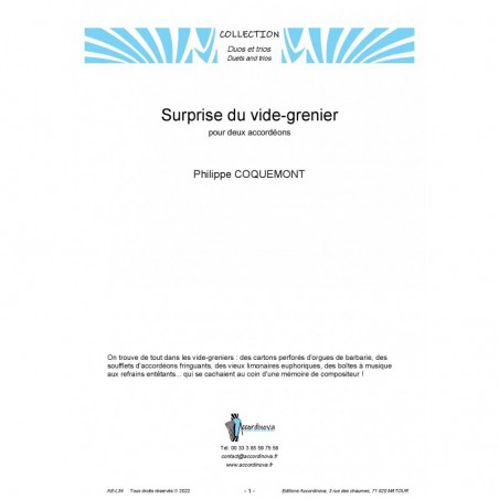Surprise du vide-grenier