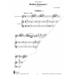 Drôles d'oiseaux !