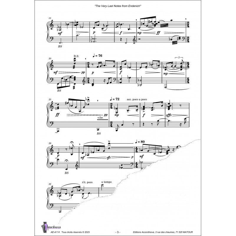 The Very Last Notes from Endenich