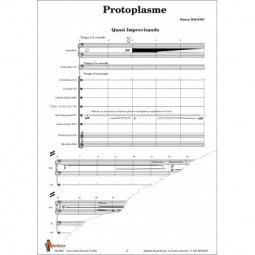 Protoplasme