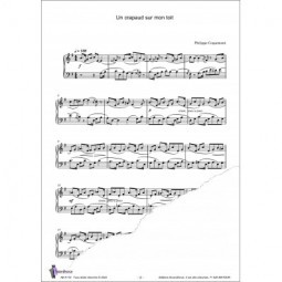 Un crapaud sur mon toit