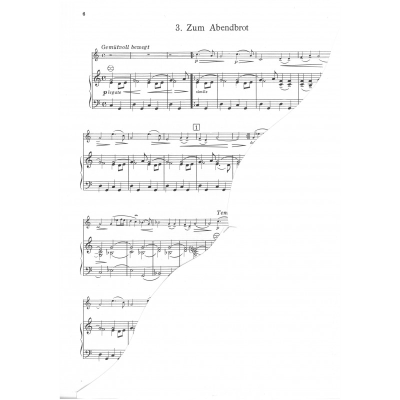 Häusliche Musik - Musique Intime