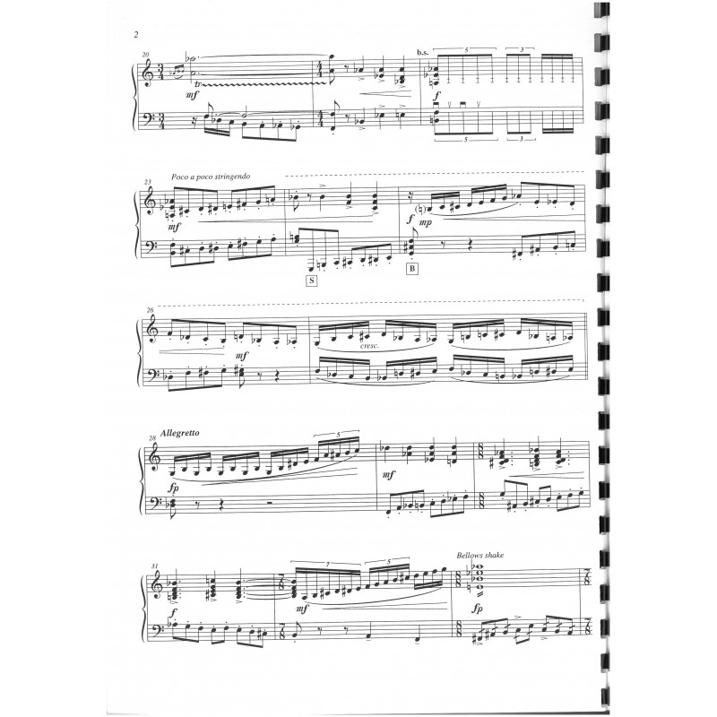 Ariel concerto - [Partie Accordéon SOLO]