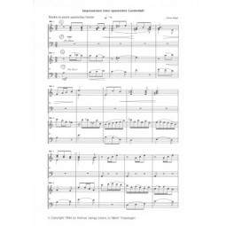 Impressions d'un Paysage Espagnol