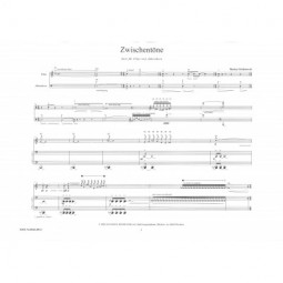 Zwischentöne (Nuances)