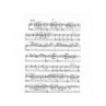 Concerto - [Partie Accordéon]