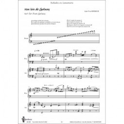 Ballades en Connemara