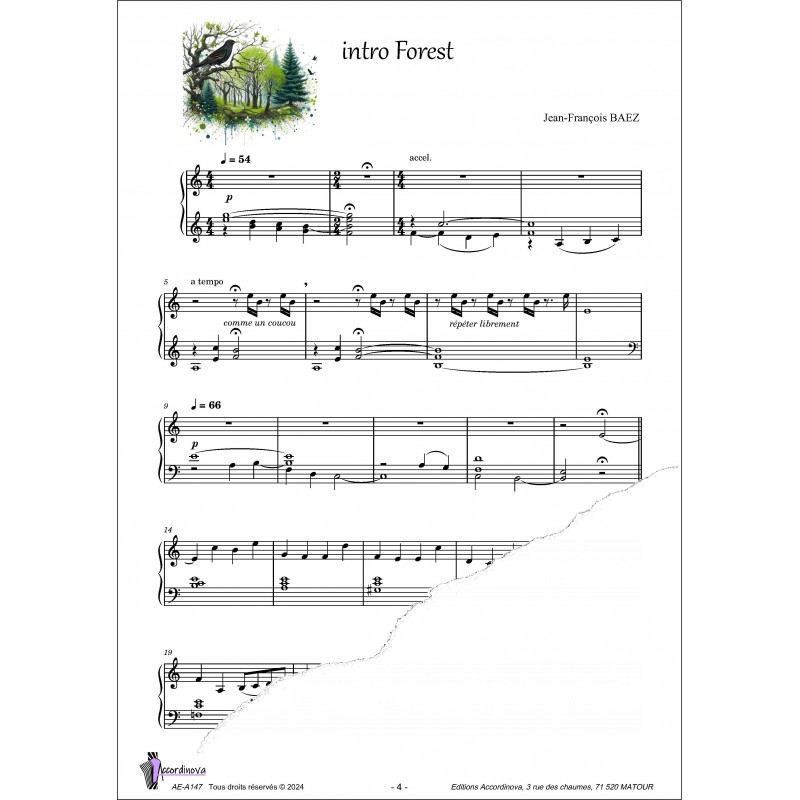intro Forest