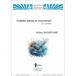 3 petites pièces en mouvement